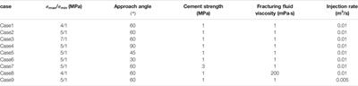 Numerical Simulation of Shale Reservoir Fluid-Driven Fracture Network Morphology Based on Global CZM